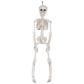 Holiday Living Hanging Skeleton 16-in Bone Colour