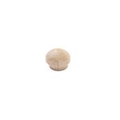 Madison Mill 3/8-in Poplar Flathead Dowel Plug (20-Pack)