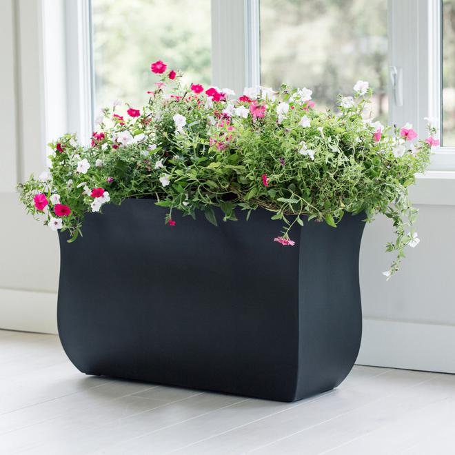 Mayne Valencia 1-Pack - 22-in x 36-in - Black Plastic Planter