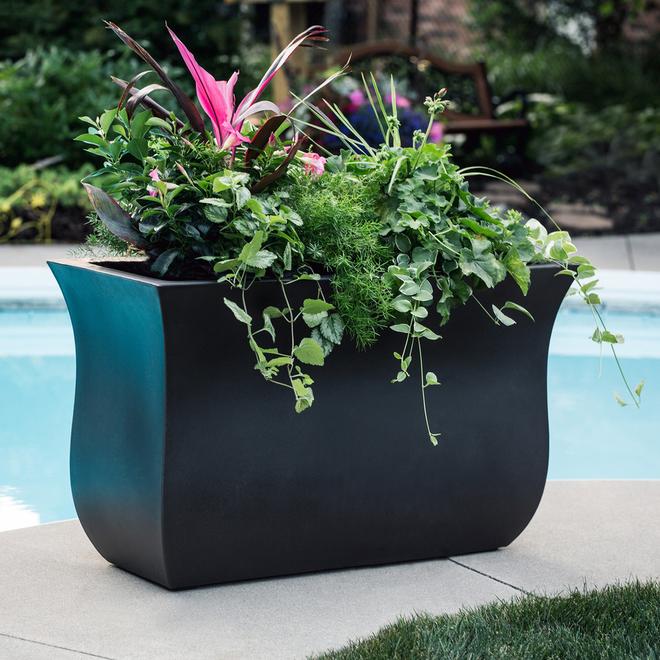 Mayne Valencia 1-Pack - 22-in x 36-in - Black Plastic Planter