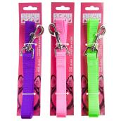 Dog Leash - Medium - 0.79'' x 47'' - Assorted