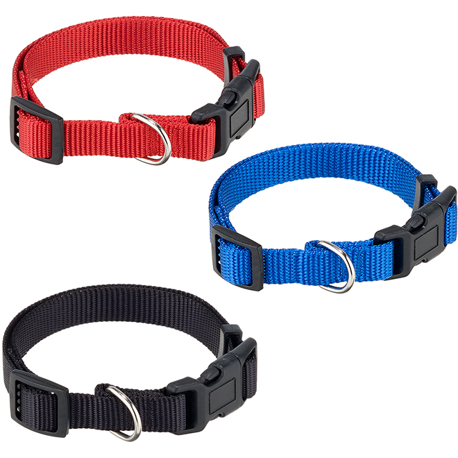 SEAL Adjustable Dog Collar - Small - Assorted 20110PPD | RONA
