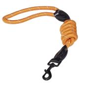Dog Leash - Large - 47'' - Orange