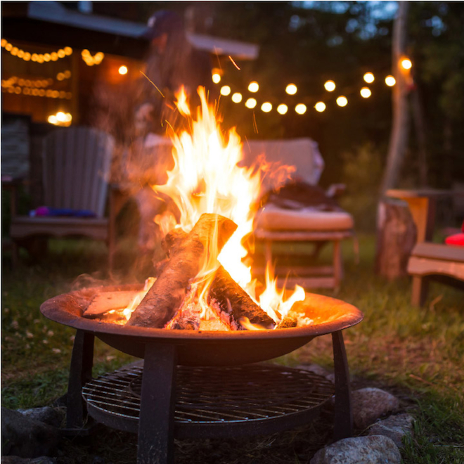 Gofire All-Purpose Fire Starters - 20/Pkg