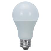 Ampoule DEL A19 5,5 W, non variable, lumière du jour, 6/pqt