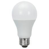 Ampoule DEL A19 9W, non variable, lumière du jour, 6/pqt