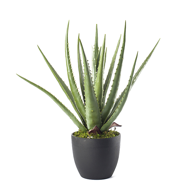 NATURAE DECOR Artificial Aloe Vera Plant in Plastic Pot 18" PP18ALOE