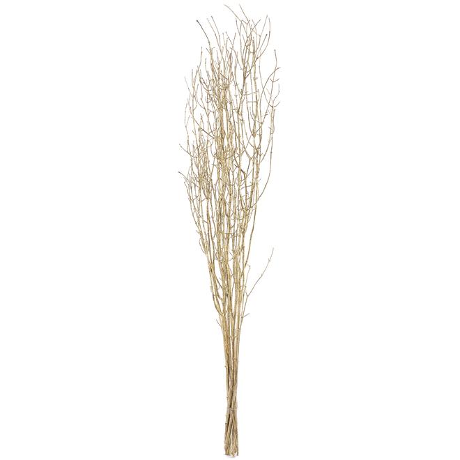 Green Plus Nurseries Gold Glitter Branch - 3-ft