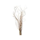 Green Plus Nurseries Natural Willow Branches - 2 to 3-ft - 5-Stem Pack