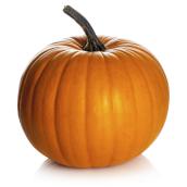 Green Plus Nurseries Medium Pumpkins