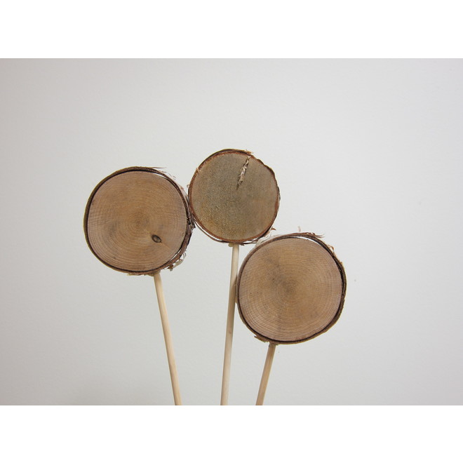 Green Plus Birch Slice Decorations - Pack of 3