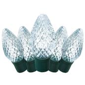 Jeu de 100 lumières extérieures DEL C9, fil vert, blanc froid