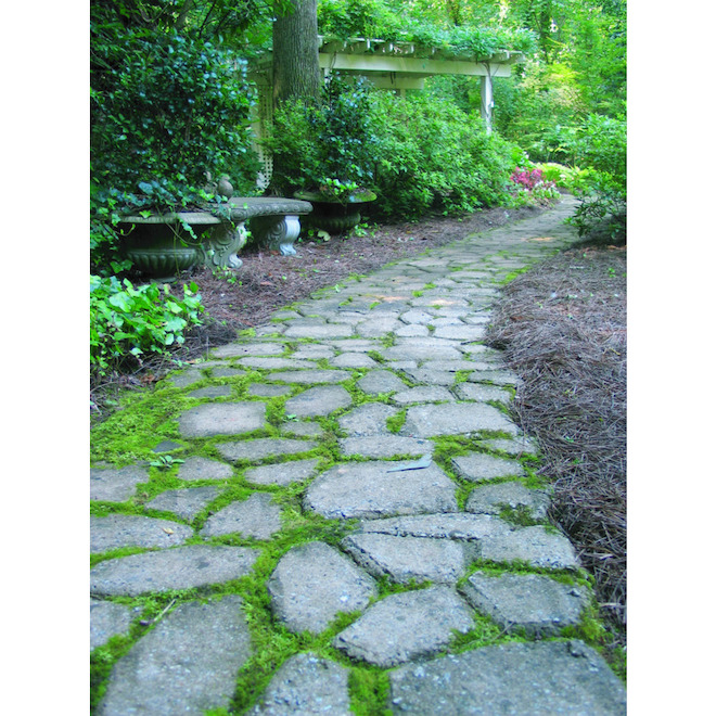 QUIKRETE Walk Maker Country Stone Pattern