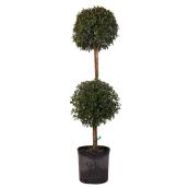 Eugenia 10-in Topiary 2-Ball