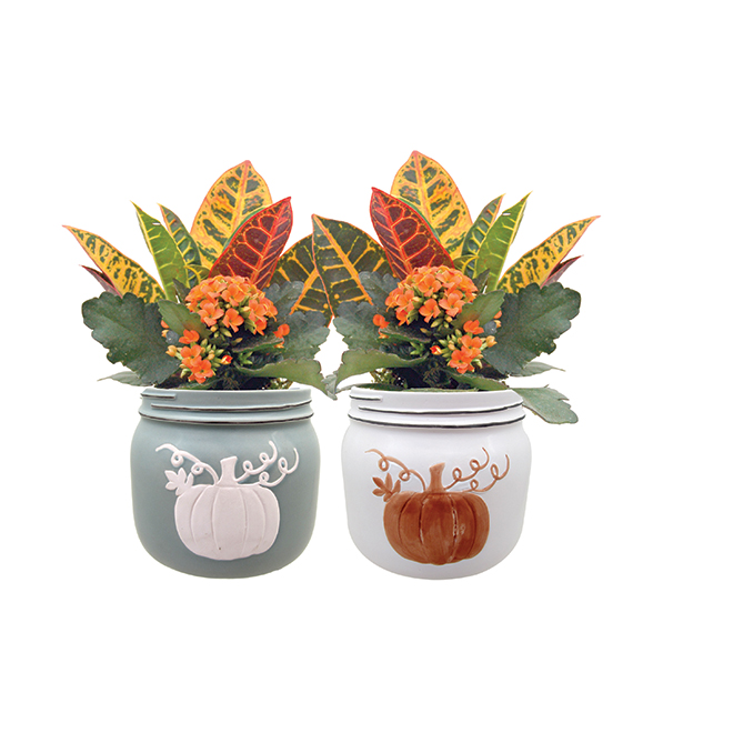 Decorative Garden Pumpkin PUSP101 | RONA