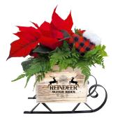 Traineau décoratif en bois Bayview Flowers écrit « Reindeer Sleigh Rides » avec poinsettias 12 po H. x 8 po L.