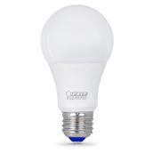 Ampoule ColdStart A19, intensité variable, blanc chaud