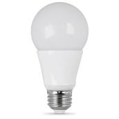 Ampoule A19 E26, intensité variable, lumière du jour