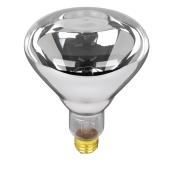 Ampoule incandescente de Feit Electric, intensité réglable, lampe chauffante, E26 BR40, 250 W