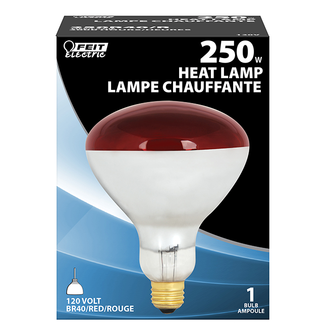 Ampoule incandescente de Feit Electric, intensité réglable, E26 R40, 250 W