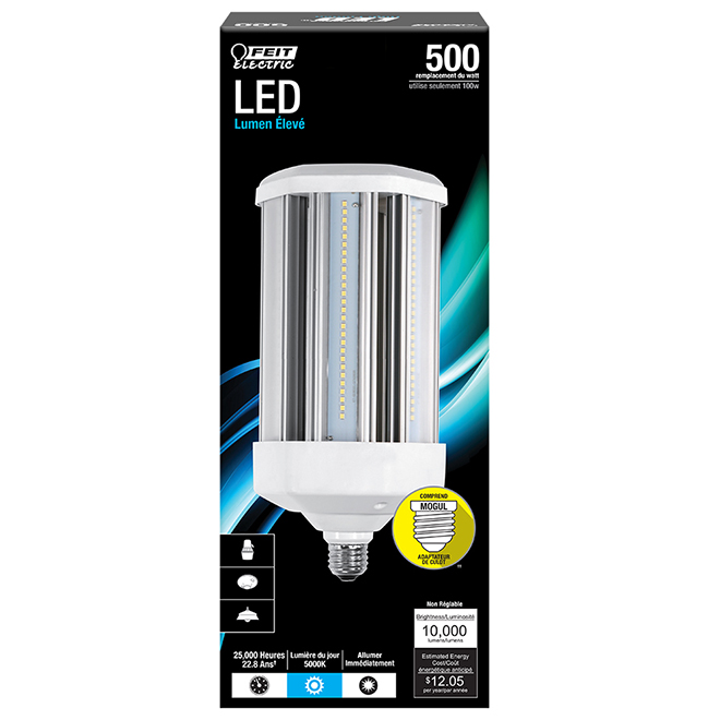 Ampoule DEL Feit Electric, E26/E39, 100 W, lumière du jour RONA
