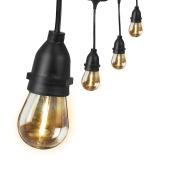 Feit Electric 24-ft 12-Light Plug-In Vintage Bulbs String Lights with Timer Remote Control