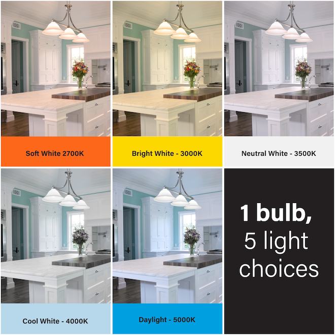 FEIT Electric LED Light Bulb A19 100 W Dimmable - Adjustable White - Pack of 4