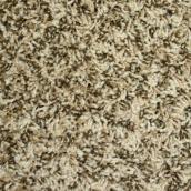 STAINMASTER Essentials 12-ft W Desert Dust Textured Indoor Carpet - 1 Linear Foot