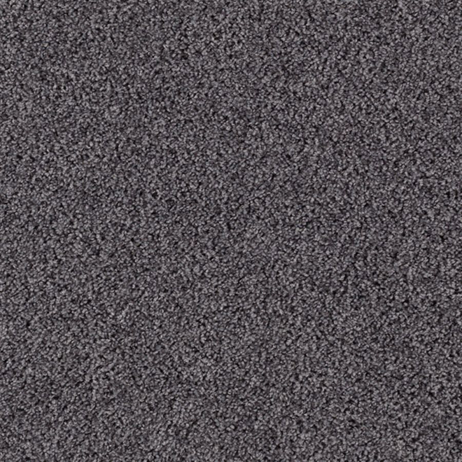 MOHAWK HOME Mohawk Cut Pile Indoor Carpet Artfully Done 12 Ft W   32017861 L 