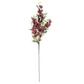 Branch décorative brillante avec baies et feuilles, rouge