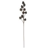 Branche décorative avec pommes de pin, brun