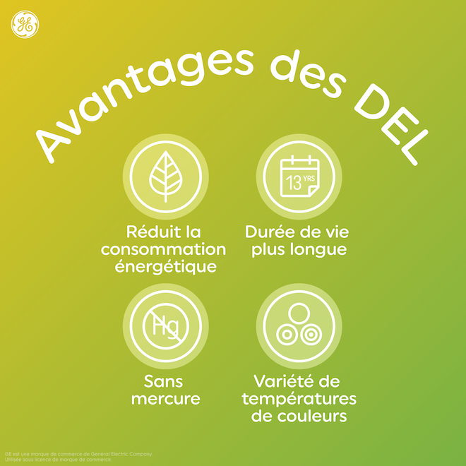 Ampoules de remplacement DEL blanc doux HD RELAX de GE A21 de 100 W, pour un éclairage d'intérieur courant (2/pqt)