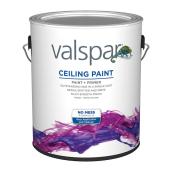 Valspar 3.78-L Tintable White Flat Paint and Primer for Ceilings