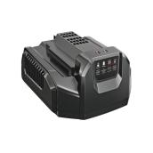 EGO POWER+ 56 V Lithium Ion Fast Charger 210W (Accessory Only)