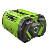 EGO POWER+ 12.0 AH 56 V ARC Lithium Battery with Charge Indicator