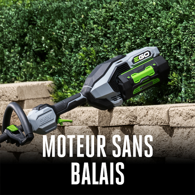 Bloc moteur sans balai POWER+ par EGO avec manche en fibre de carbone pour accessoires multi-têtes d'EGO