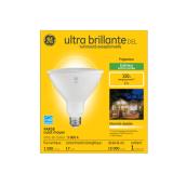 Ampoule de remplacement d'extérieur à DEL PAR38 150 W GE ultra brillante blanc chaud pour appareil d'éclairage extérieur