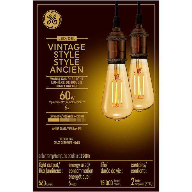 GE Vintage Warm Candle Light 60W Replacement LED Amber Finish Straight Filament ST19 Light Bulbs (2-Pack)