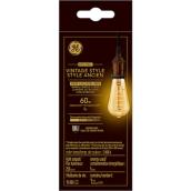 Ampoule de remplacement 60W de GE ambrée de style ancien chaude lueur de chandelles à filament en spirale ST19