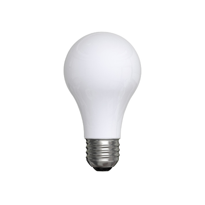 Ampoules incandescentes givrées de type A15 blanc doux de 15W de GE, paquet de 2