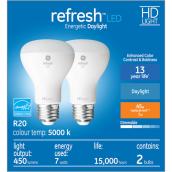 GE Refresh HD Daylight 45W Replacement LED Indoor Floodlight R20 Light Bulbs (2-Pack)