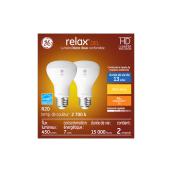 Ampoules de remplacement DEL blanc doux HD RELAX de GE R20 45 W, pour les appareils d'éclairage intérieur (paquet de 2)