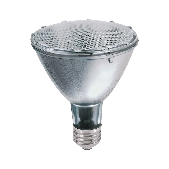 GE Warm White 75W Replacement Halogen Indoor Floodlight Long Neck PAR30 Light Bulbs (2-Pack)