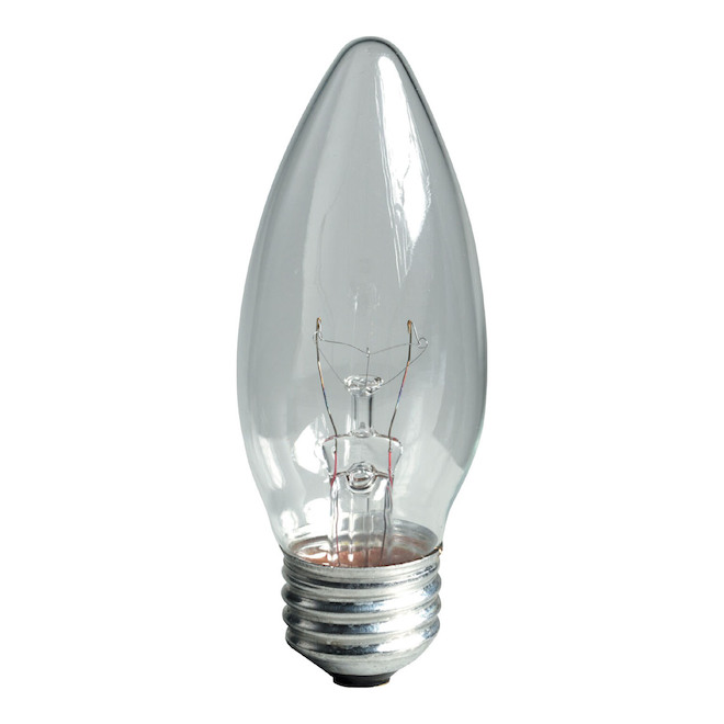 Ampoules incandescentes blanc doux BM de 40W par GE, paquet de 6