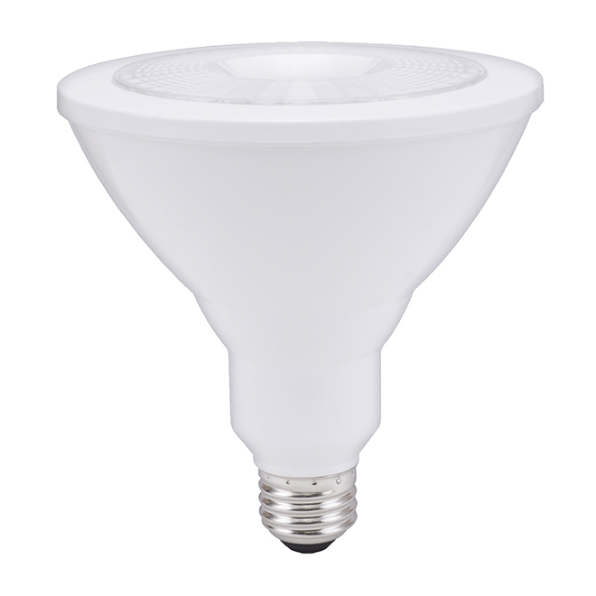 GE Warm White 90W Replacement LED Outdoor Floodlight PAR38 Light Bulb (2-Pack)