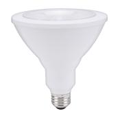 Ampoule DEL, PAR38, 10 W, plastique, blanc chaud, 2/pqt