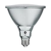 Ampoule DEL, PAR38, 15 W, métal, lumière du jour, 2/pqt