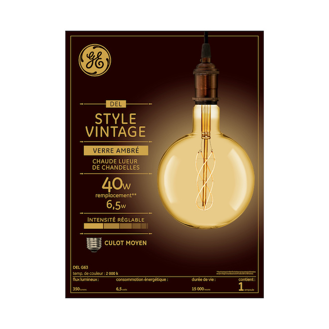 Grande ampoule globe à DEL 40 W ambrée chaude lueur de chandelles de style ancien à filament en spirale croisée G63