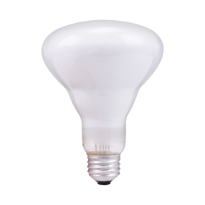 GE Soft White 65W Incandescent Indoor Floodlight BR30 Light Bulbs (12-Pack)