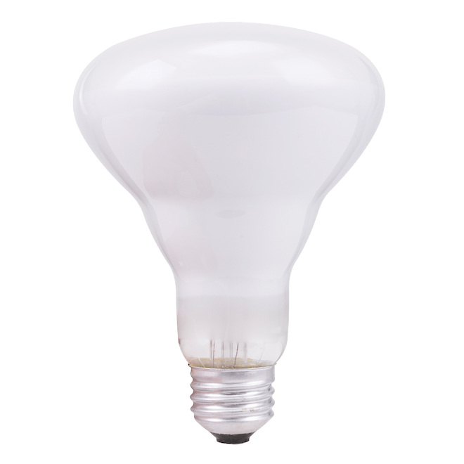 Ampoules incandescentes BR30 pour projecteurs d'intérieur de GE à culot moyen, 65 W, blanc doux, paquet de 6